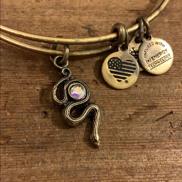 Alex and Ani Jewelry Alex And Ani Snake Bracelet Poshmark